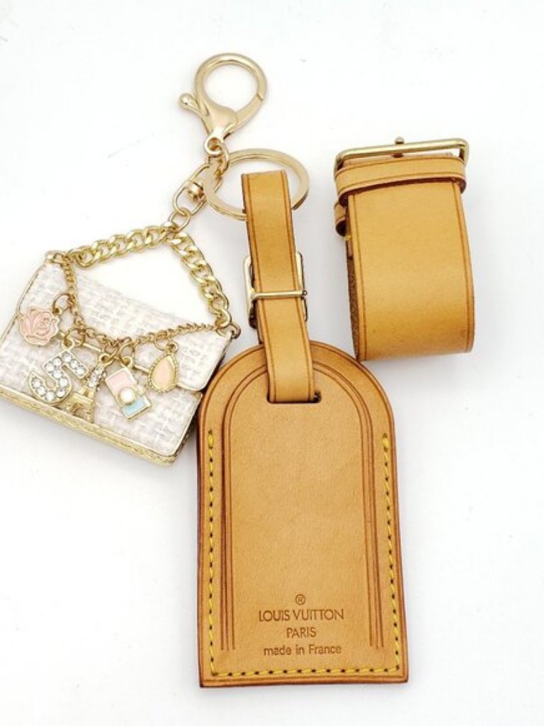 Authentic Louis Vuitton Luggage Nametag With Unbranded Keycharm